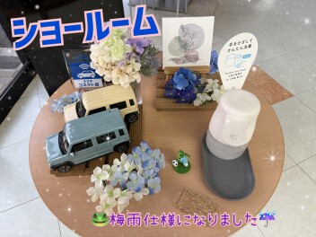 ショールームが梅雨仕様になりました♪